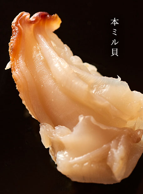 本ミル貝
